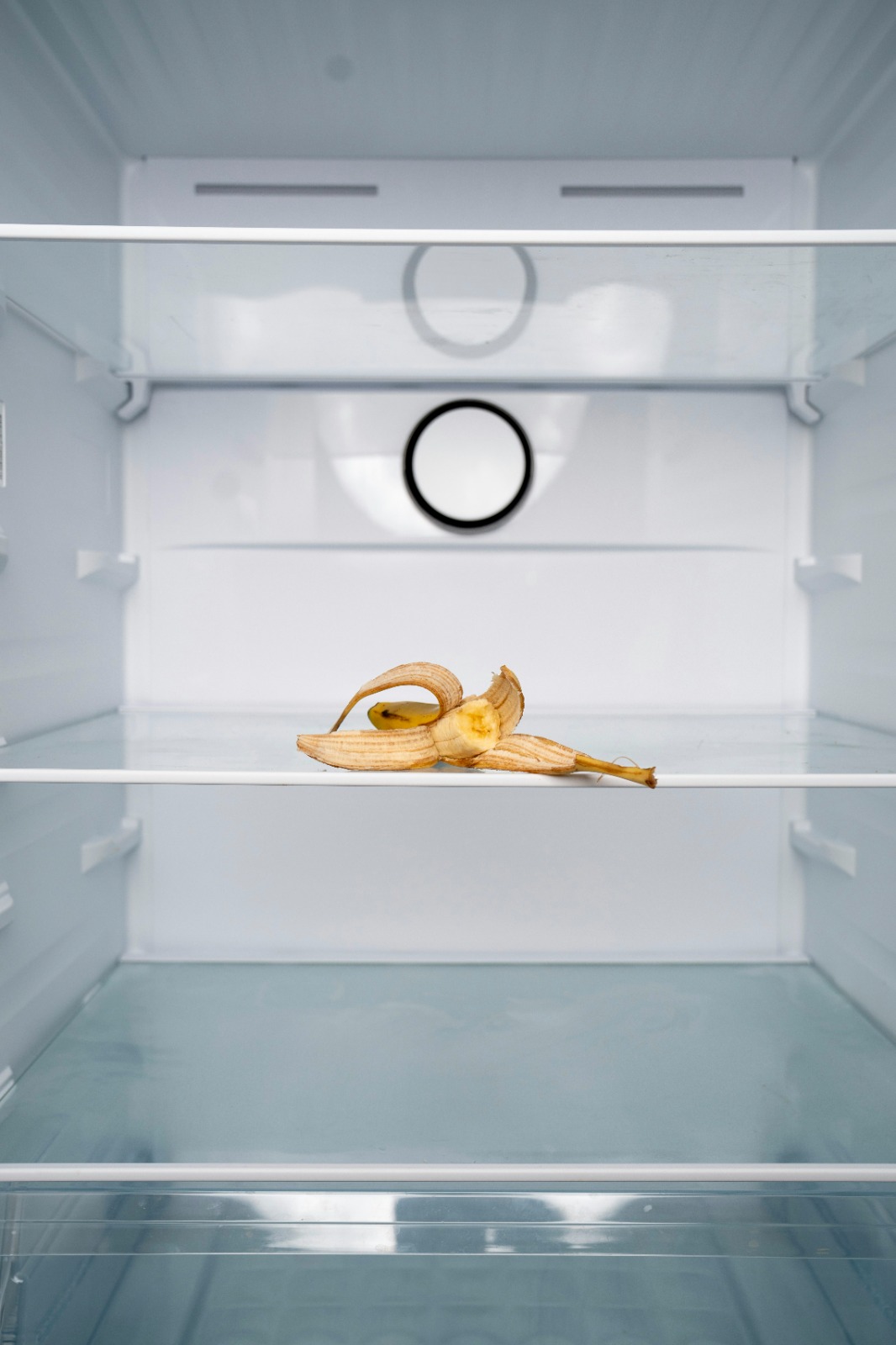 Von Chaos zu Kochkunst: Wie Apps dir helfen, aus Resten richtig gute Mahlzeiten zu machen