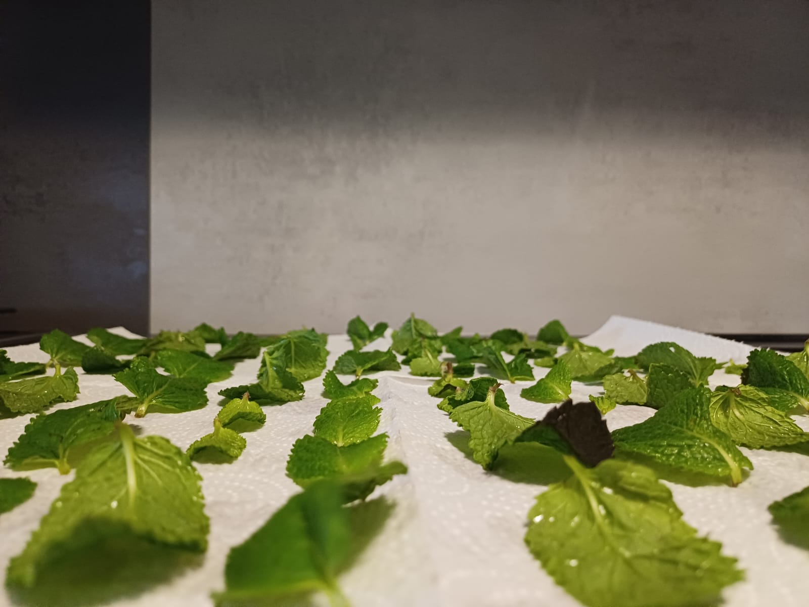 Trocknen auf Küchenpapier